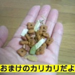 HI3F0048000100010001.jpg