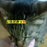 HI3F005300010001.jpg