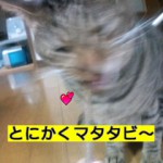 HI3F006900010001.jpg
