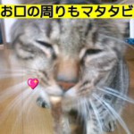 HI3F007000010001.jpg