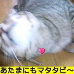 HI3F0071000100010001.jpg