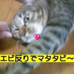 HI3F0072000100010001.jpg