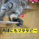 HI3F007300020001.jpg