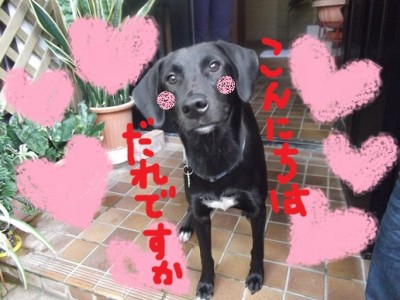 こんにちはだれですか１