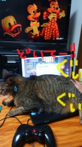 パソコンドラクエ猫３