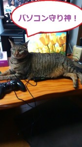 パソコンドラクエ猫４