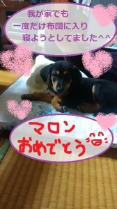 マロンおめでとう♪