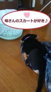 母さんのスカート１