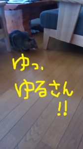 マロのいた日々２