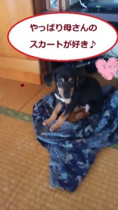 母さんのスカート２