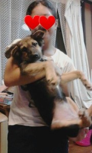 Effectplus_20140926_222019